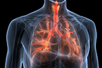 How MRI Scans Are Revolutionizing COPD Diagnosis