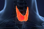 The Role of an MRI in Diagnosing Thyroid Cancer